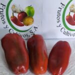 Chile Pimiento Rojo