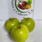 Manzana Verde